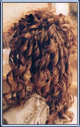 ������� ������ ����� ���� �������