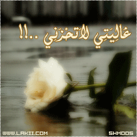 ����� ��� � ��� - ����� ���� ����� sms