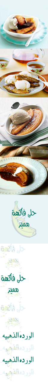 hanan_logo33.gif