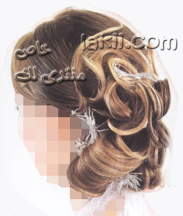 تسريحات جديده وأفكار عديده لليلة فريدة aros_t15.jpg