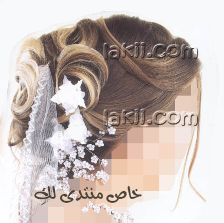 تسريحات جديده وأفكار عديده لليلة فريدة aros_t16.jpg