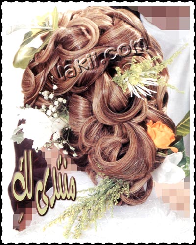 تسريحات جديده وأفكار عديده لليلة فريدة aros_t23.jpg