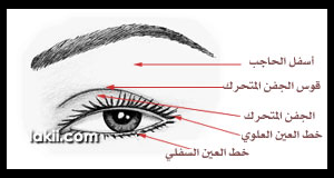 خطوات مكياج الصباح بالصور beauty_eyssc.jpg