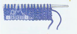  ,  ,  Iman_eyekVF.gif