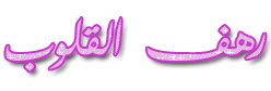 um-walaa_User.gif