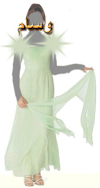 2013  2013  Robes de soires   